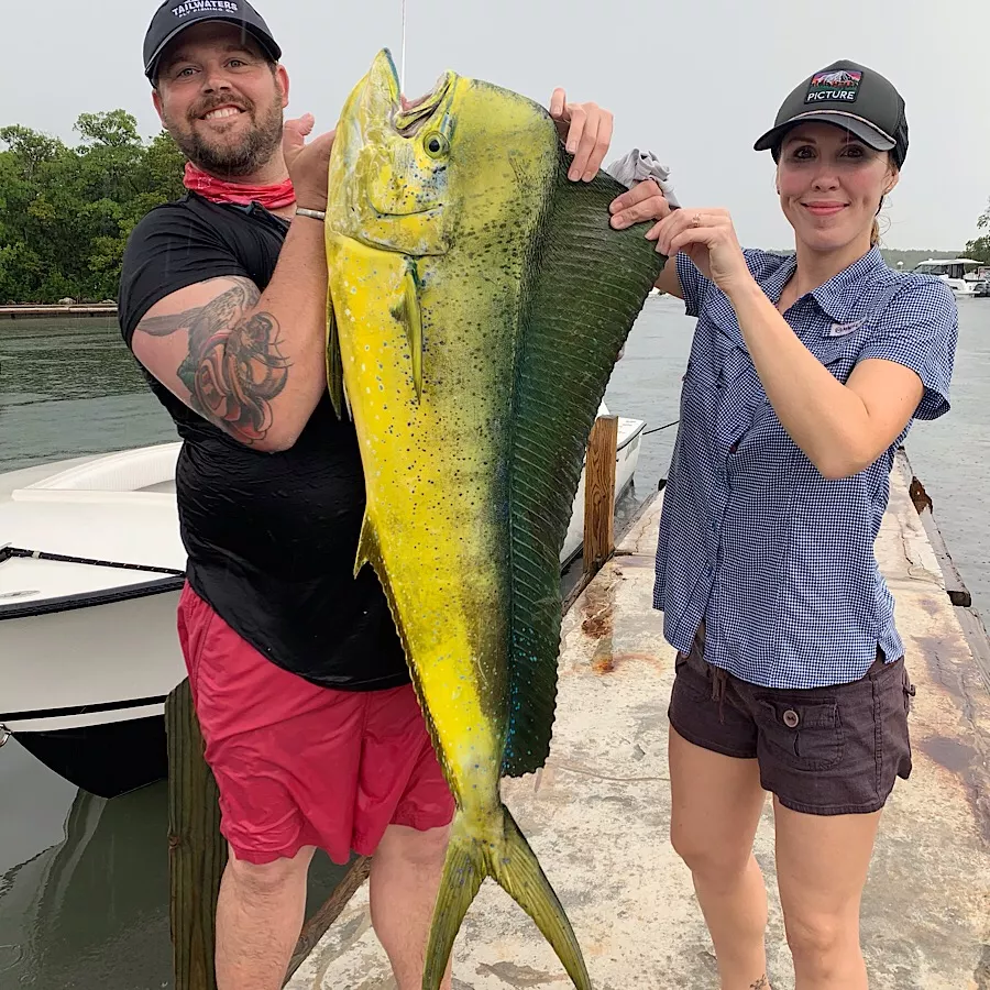 Captain Jason holding a mahi mahi caught on a Fort Lauderdale summer fishing charter