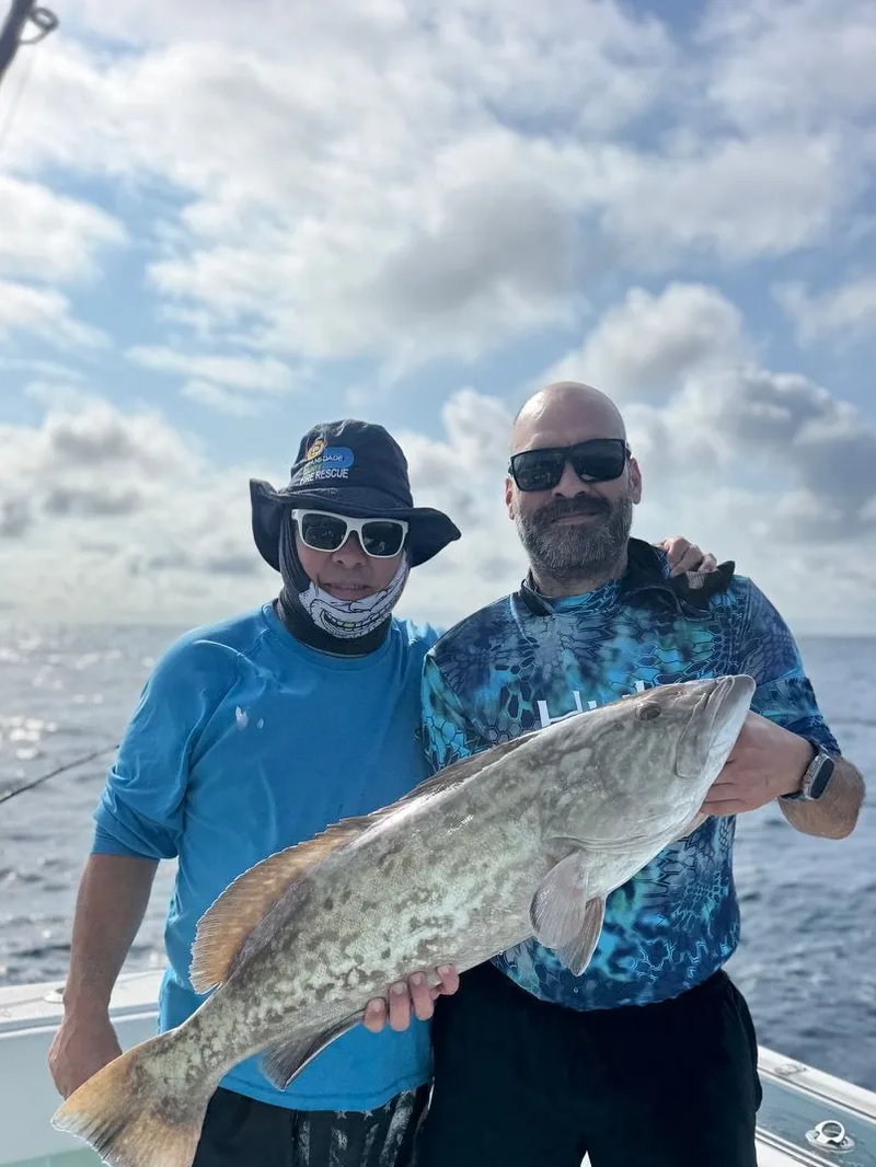 Bottom Fishing catch from a Cool Runnings charter